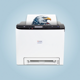 Luminaris 200 All In One White Toner DTF and Sublimation Printer for Shirts, Hoodies, Mugs, Tumblers, and Gifts